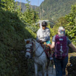 2024-10 - Népal - J05 - De Ghandruk à Tadapani - 075